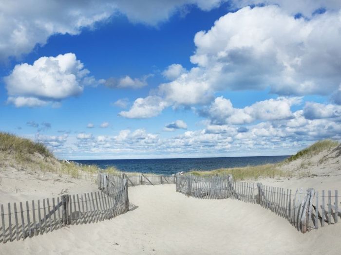 Gloucester Beach Parking Guide 2025 Good Harbor WIngaersheek